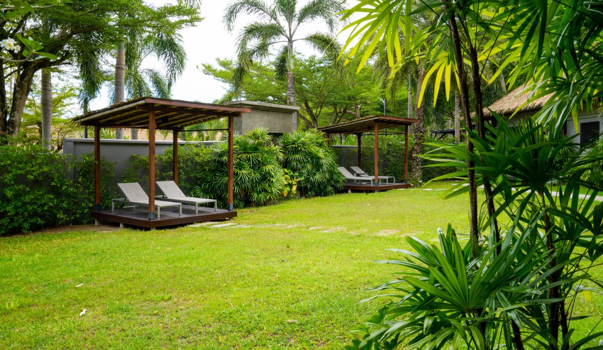 Tropical Green_12