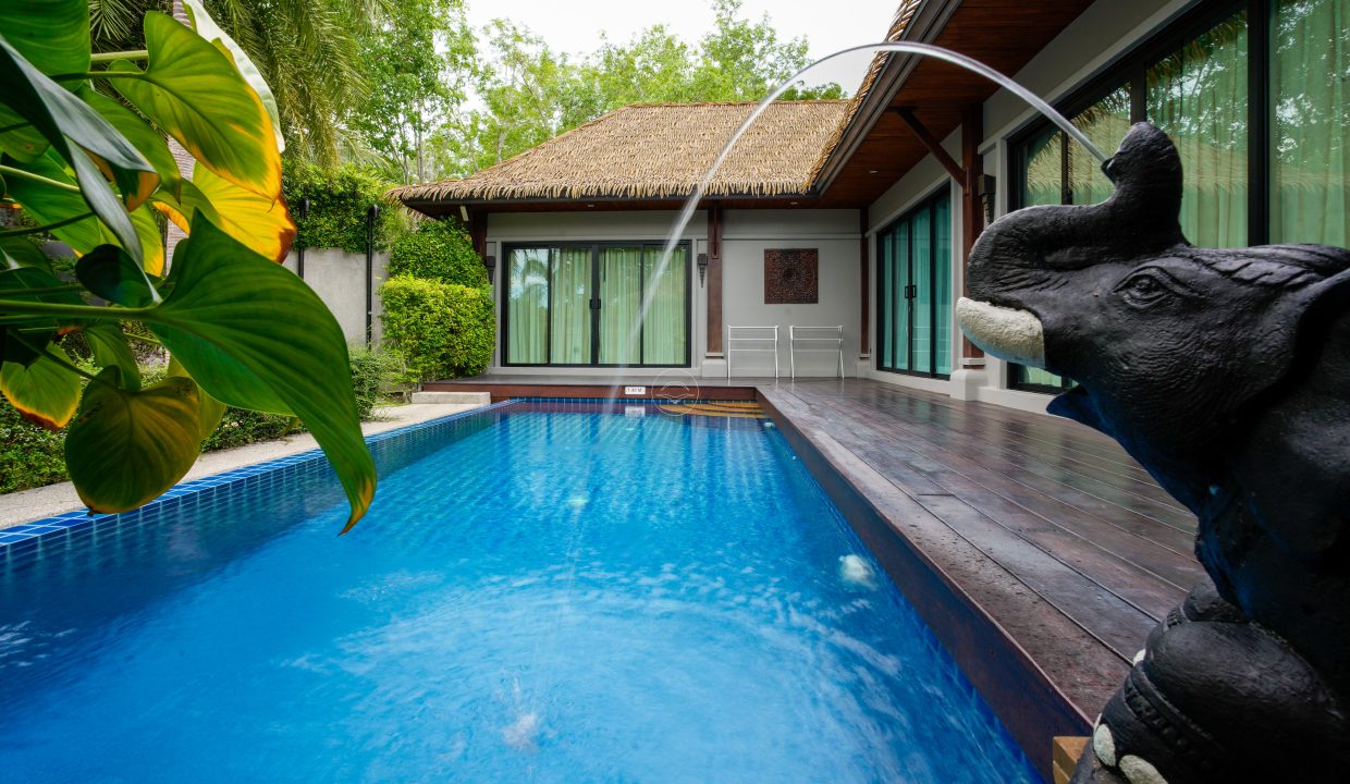 Tropical Green_14