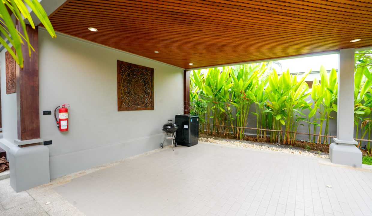 Tropical Green_18