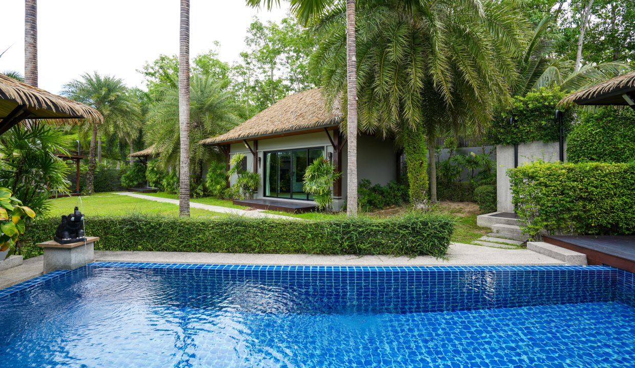 Tropical Green_38